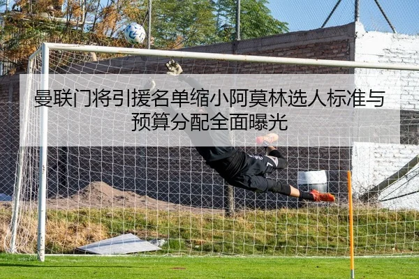 曼联门将引援名单缩小阿莫林选人标准与预算分配全面曝光
